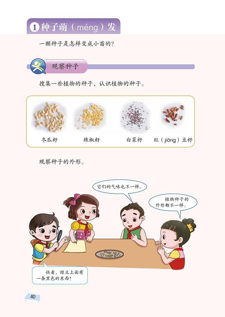 三年级下科学教学素材三年级科学下册第五单元植物的一生教材图片素材(pdf)(新版)湘科版_湘教版(2017秋) 教案02
