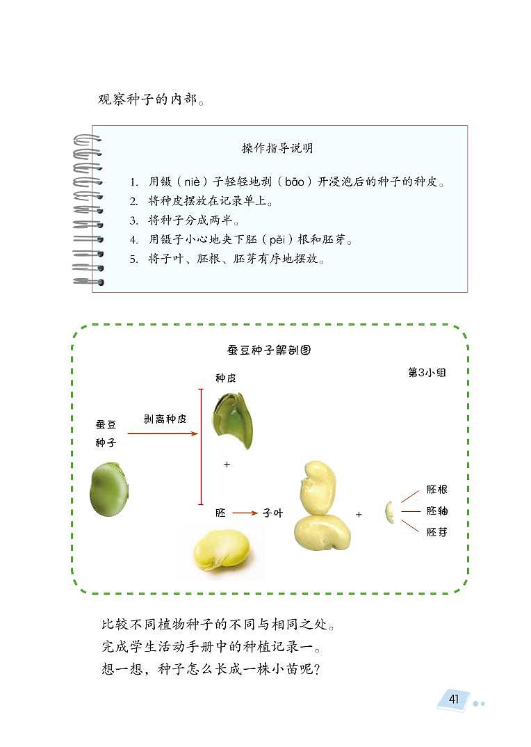 三年级下科学教学素材三年级科学下册第五单元植物的一生教材图片素材(pdf)(新版)湘科版_湘教版(2017秋) 教案03