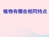 教科版三年级上册5、植物的叶备课课件ppt