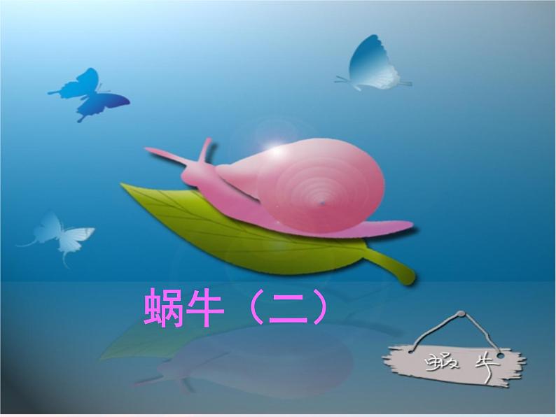 三年级科学上册2.3《蜗牛二》课件(3)教科版01