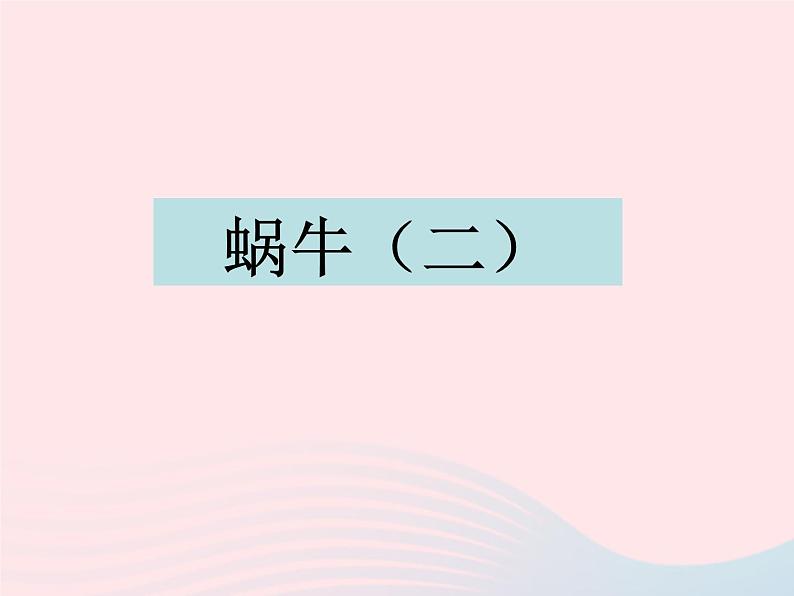 三年级科学上册2.3《蜗牛二》课件(2)教科版第1页