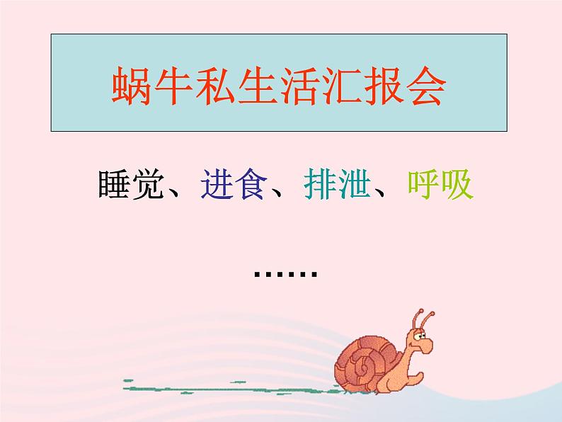 三年级科学上册2.3《蜗牛二》课件(2)教科版第2页