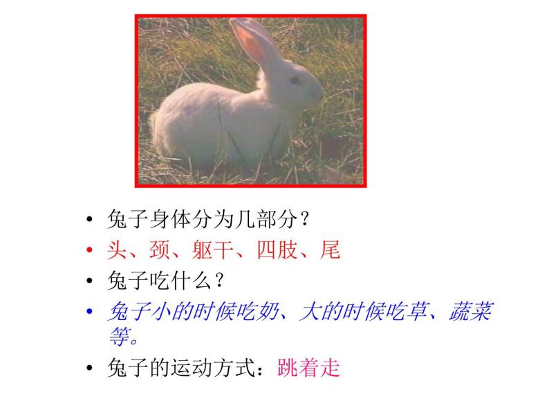 三年级科学上册第四单元家养小动物第22课《兔与猫》课件（1）鄂教版06