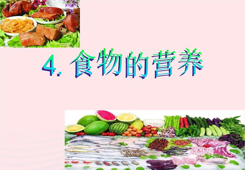 三年级科学上册第一单元生活中的食物第4课《食物的营养》课件(1)鄂教版04