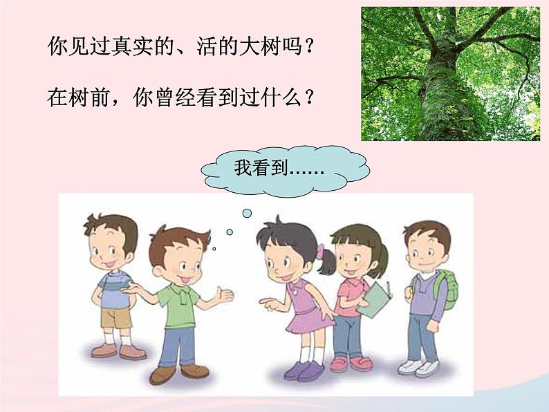 三年级科学上册1.1《我看到了什么》课件(1)教科版03