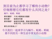 小學(xué)科學(xué)6、金魚示范課課件ppt