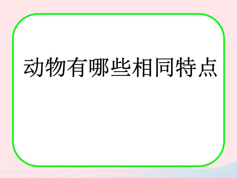 三年级科学上册2.7《动物有哪些相同特点》课件（1）教科版01