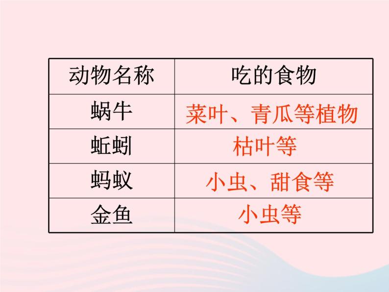 三年级科学上册2.7《动物有哪些相同特点》课件（5）教科版04