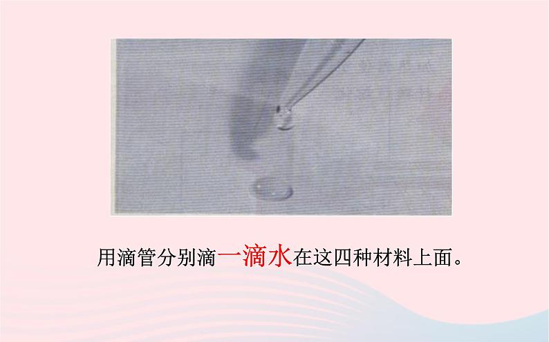 三年级科学上册3.4《它们吸水吗》课件(3)教科版第5页