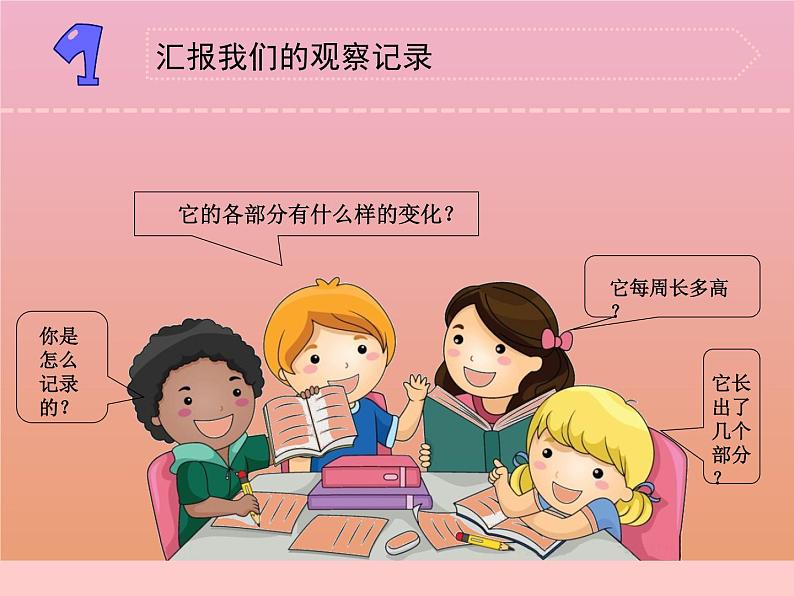 三年级科学下册第一单元植物的一生4植物结果了课件1苏教版第3页