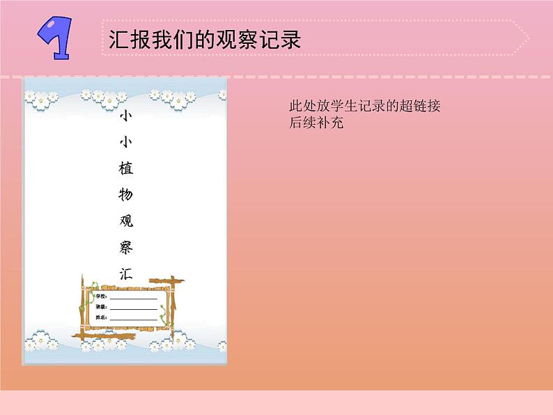 三年级科学下册第一单元植物的一生4植物结果了课件1苏教版第4页