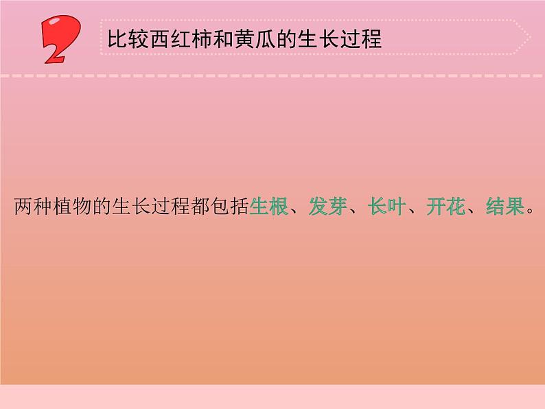 三年级科学下册第一单元植物的一生4植物结果了课件1苏教版第6页