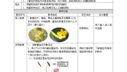 小学3 植物开花了教案