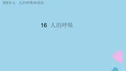 三年级科学上册第五单元人的呼吸和消化16人的呼吸课件（新版）苏教版