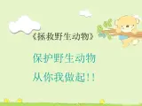 （首师大版）三年级上册科学课件-7 拯救野生动物
