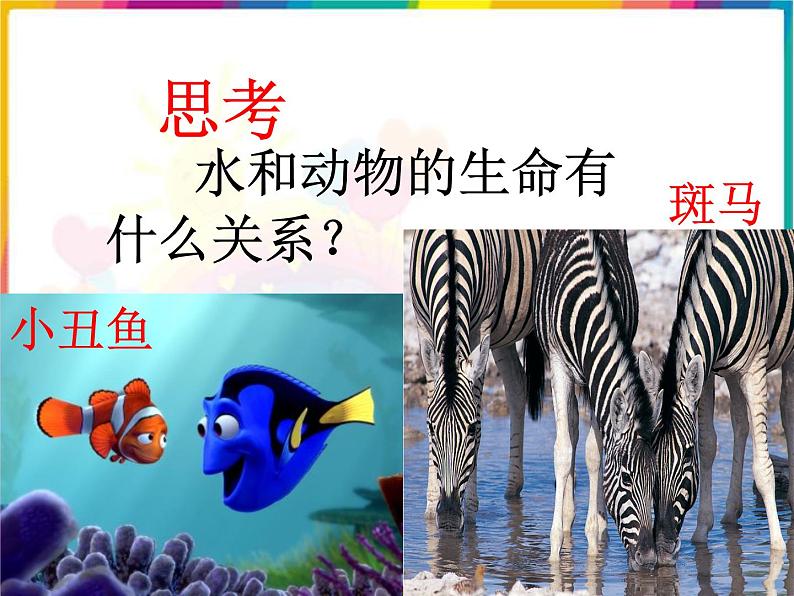 (首师大版)三年级上册科学课件-11 水和生命04