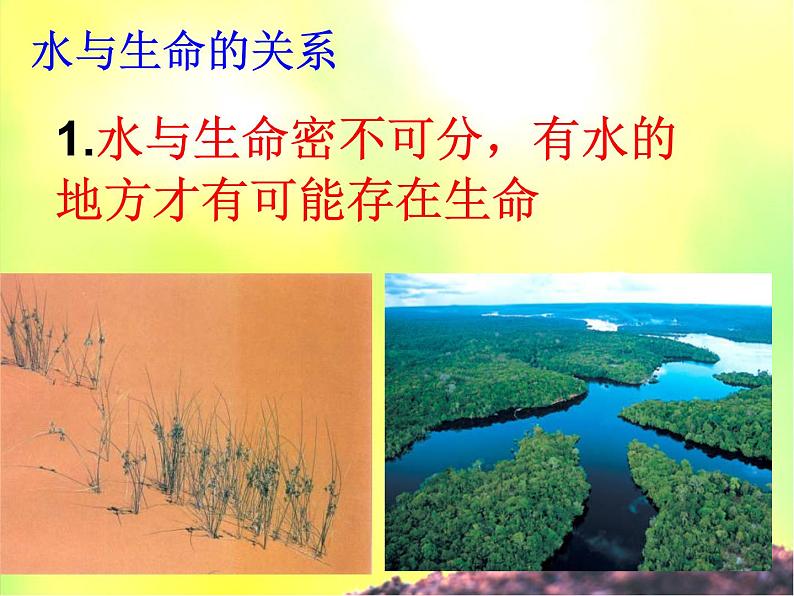 (首师大版)三年级上册科学课件-11 水和生命06