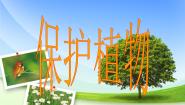 首师大版三年级上册第二单元 人与植物4.保护植物课文配套课件ppt