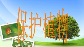 首师大版三年级上册第二单元 人与植物4.保护植物课文配套课件ppt