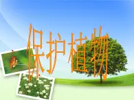 （首师大版）三年级上册科学课件-4 保护植物