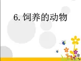 （首师大版）三年级上册科学课件-6《饲养的动物》