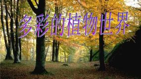 首师大版三年级上册2.植物世界示范课ppt课件