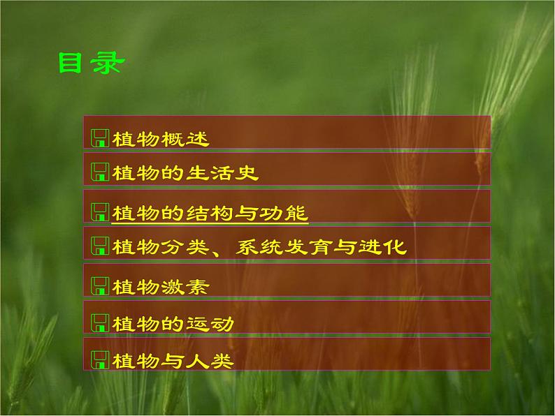 (首师大版)三年级上册科学课件-2 植物世界02