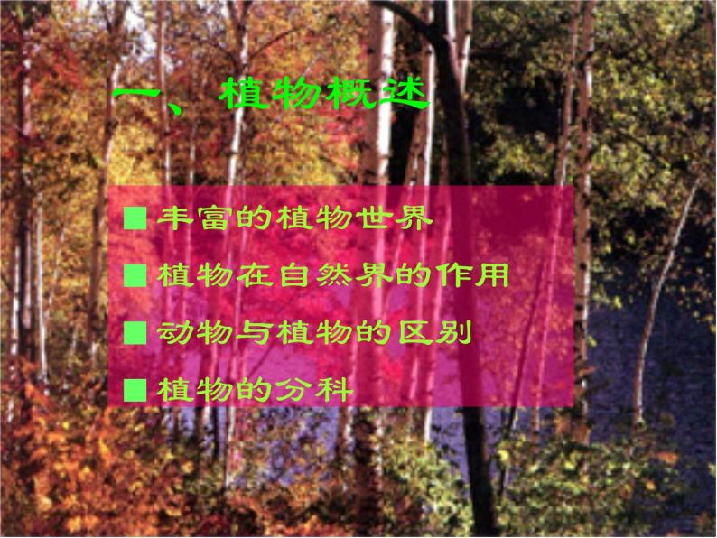 （首师大版）三年级上册科学课件-2 植物世界03