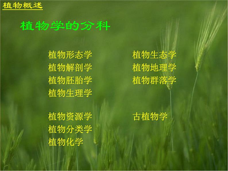 (首师大版)三年级上册科学课件-2 植物世界08