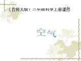 （首师大版）三年级上册科学课件-12 空气 (2)