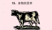 小学科学15 食物的营养备课课件ppt
