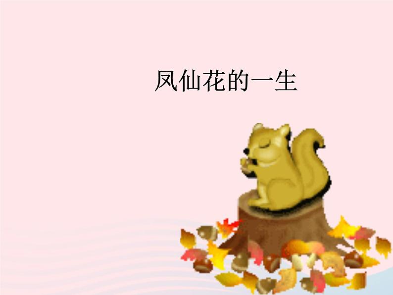 种子变成了幼苗PPT课件免费下载04