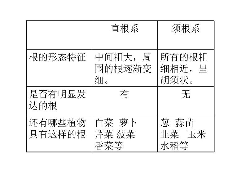 苏教版(三起)三年级下册科学第二单元2、根和茎 课件07
