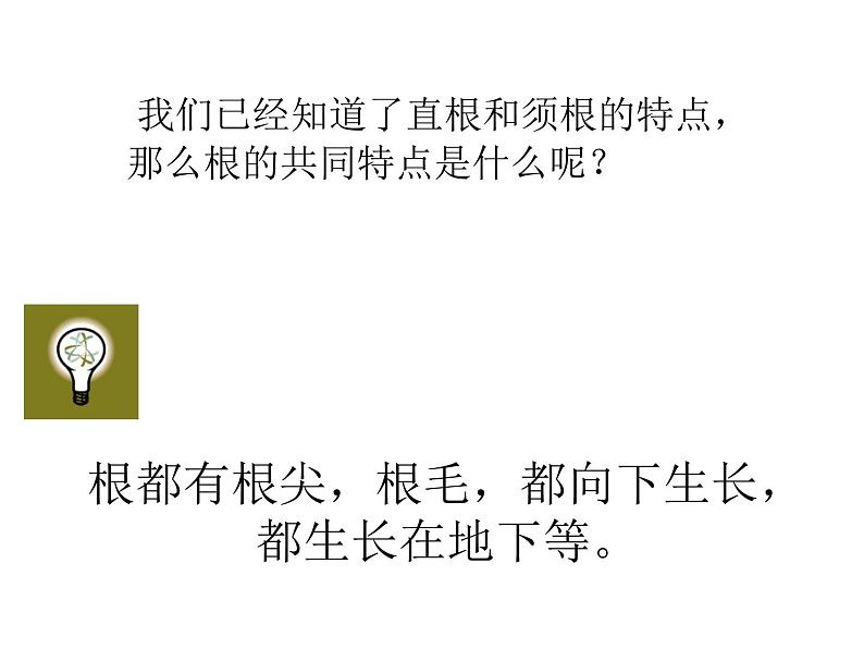 苏教版(三起)三年级下册科学第二单元2、根和茎 课件08