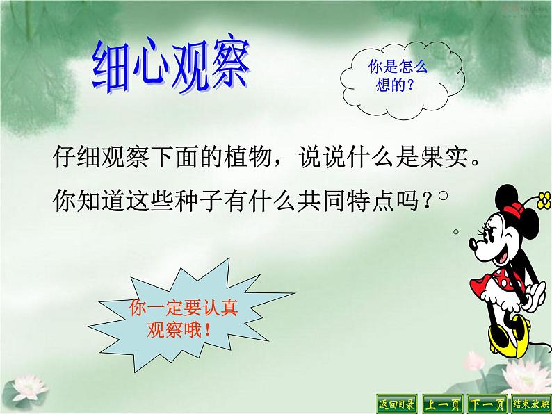 苏教版(三起)三年级下册科学第二单元1、果实和种子第2页