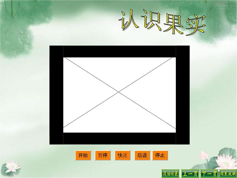苏教版(三起)三年级下册科学第二单元1、果实和种子第6页