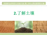 苏教版（三起）三年级下册科学第一单元2《了解土壤》 课件