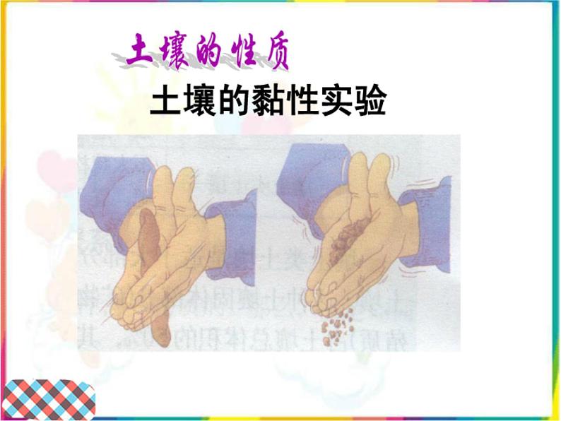 苏教版(三起)三年级下册科学第一单元2《了解土壤》课件204