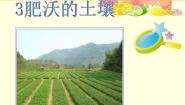 小学科学苏教版三年级下册3.肥沃的土壤授课课件ppt