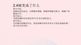 教科版三年级下册4.蛹变成了什么课文内容课件ppt