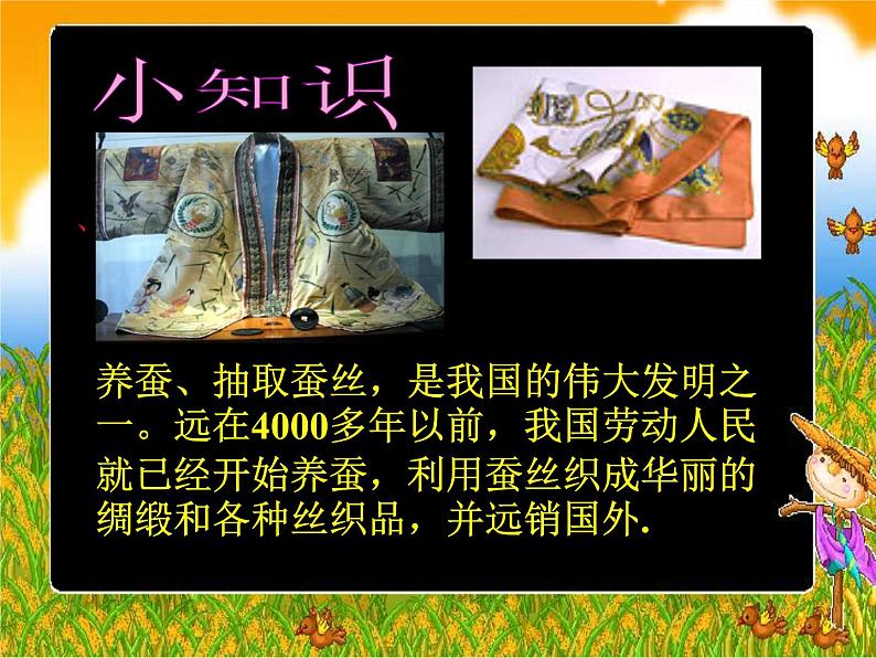 三年级科学下册第二单元动物的生命周期3《蚕变了新模样》课件1教科版07