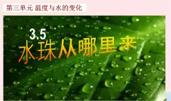 三年级科学下册第三单元温度与水的变化5水珠从哪里来课件3教科版