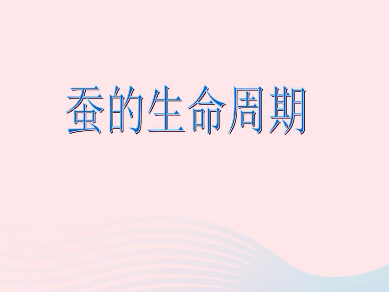 三年级科学下册第二单元动物的生命周期5蚕的生命周期课件2教科版01