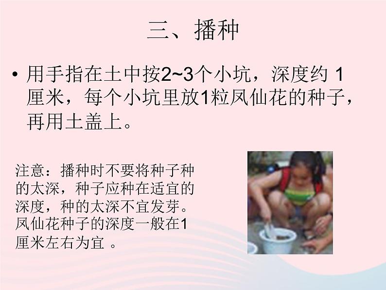 三年级科学下册第一单元植物的生长变化2种植我们的植物课件5教科版07