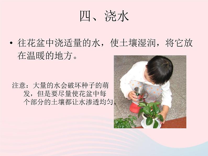 三年级科学下册第一单元植物的生长变化2种植我们的植物课件5教科版08