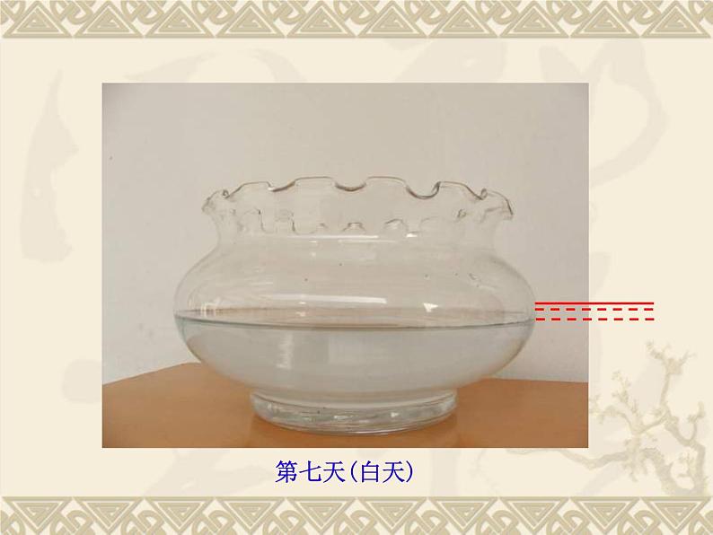 教科版(三起)科学三年级下册第三单元6-水和水蒸气--PPT06