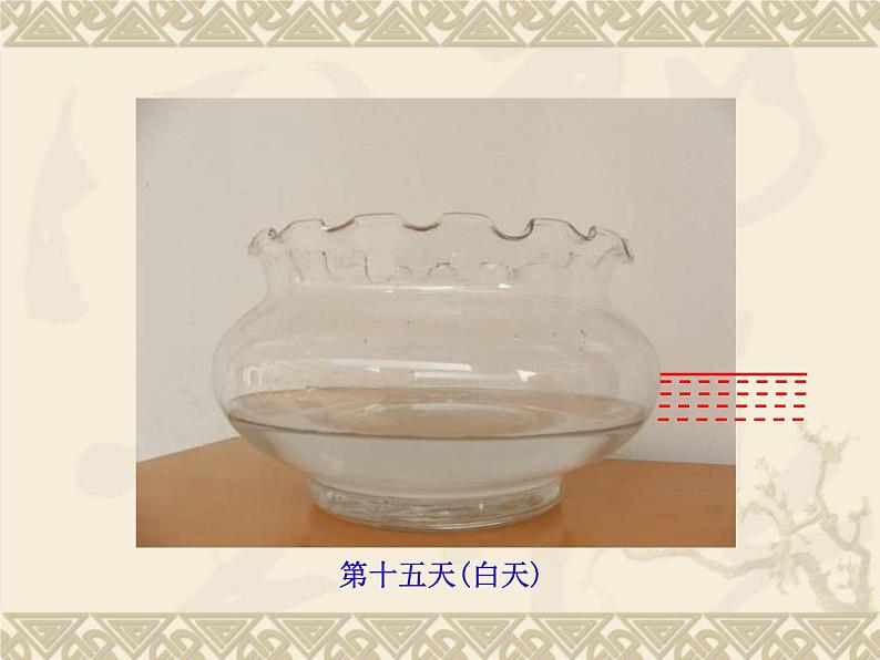 教科版(三起)科学三年级下册第三单元6-水和水蒸气--PPT08