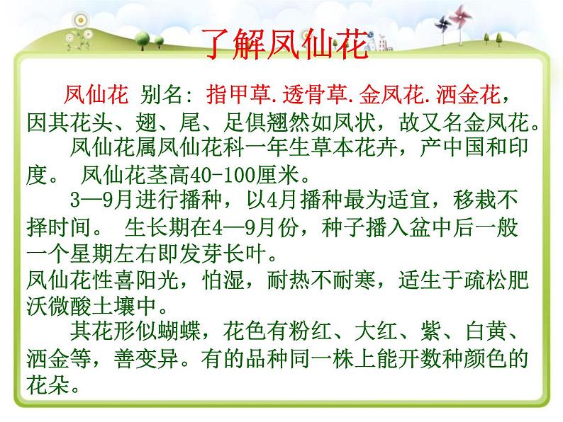 教科版(三起)科学三年级下册第一单元2、种植我们的植物 课件08