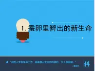 三年级科学下册第二单元动物的生命周期1蚕卵里孵出的新生命课件1教科版