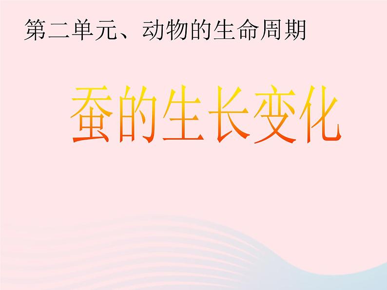 三年级科学下册第二单元动物的生命周期2蚕的生长变化课件4教科版01